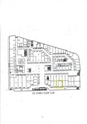Lucky Plaza (D9), Shop House #529941141